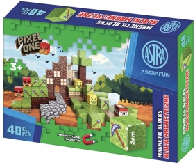 Zestaw klocków magnetycznych AstraFun Pixel One Farma - 40 szt.